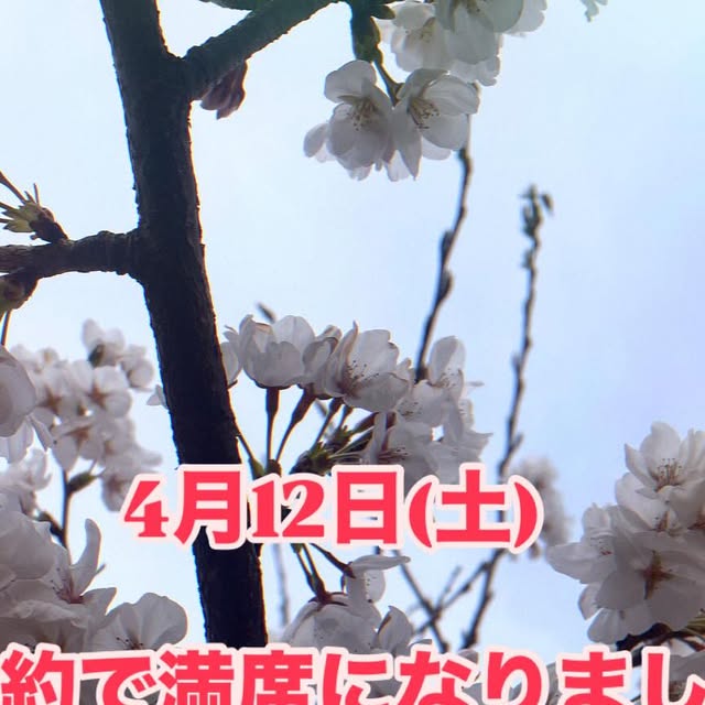 夜の営業案内 - 2025-04-05